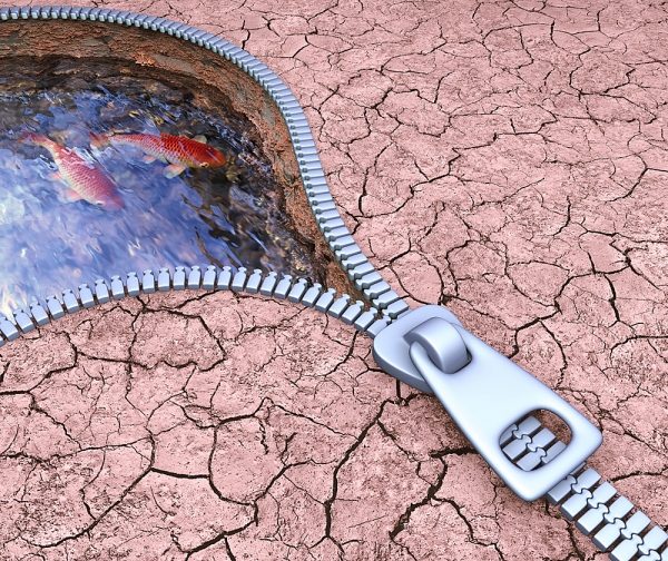 responsabilidad ambiental empresarial
