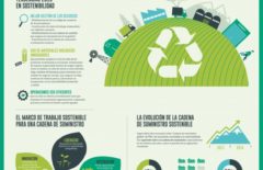 La importancia de la sostenibilidad – Infografía