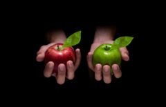 Eficiencia, competitividad y benchmarking