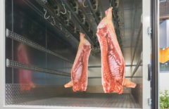 El transporte de alimentos. Tema clave en la logística de una empresa