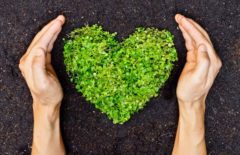 La sostenibilidad en la Supply Chain