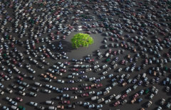 Ecomovilidad: decisiones que hacen tu cadena más sostenible