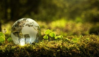 ecologia industrial