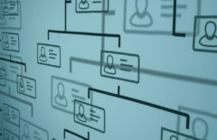 ¿Cómo es la estructura de un proyecto?