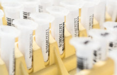 Logística pharma: 4 claves de futuro