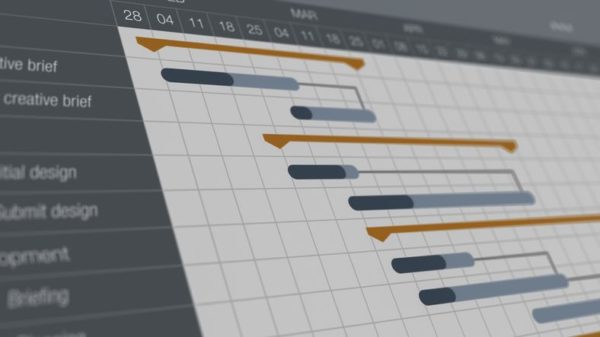 Project Monitoring 2