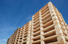 Tipos de pallets: clasificación y elección