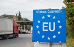 Registro REX: ¿Qué es y cómo funciona?
